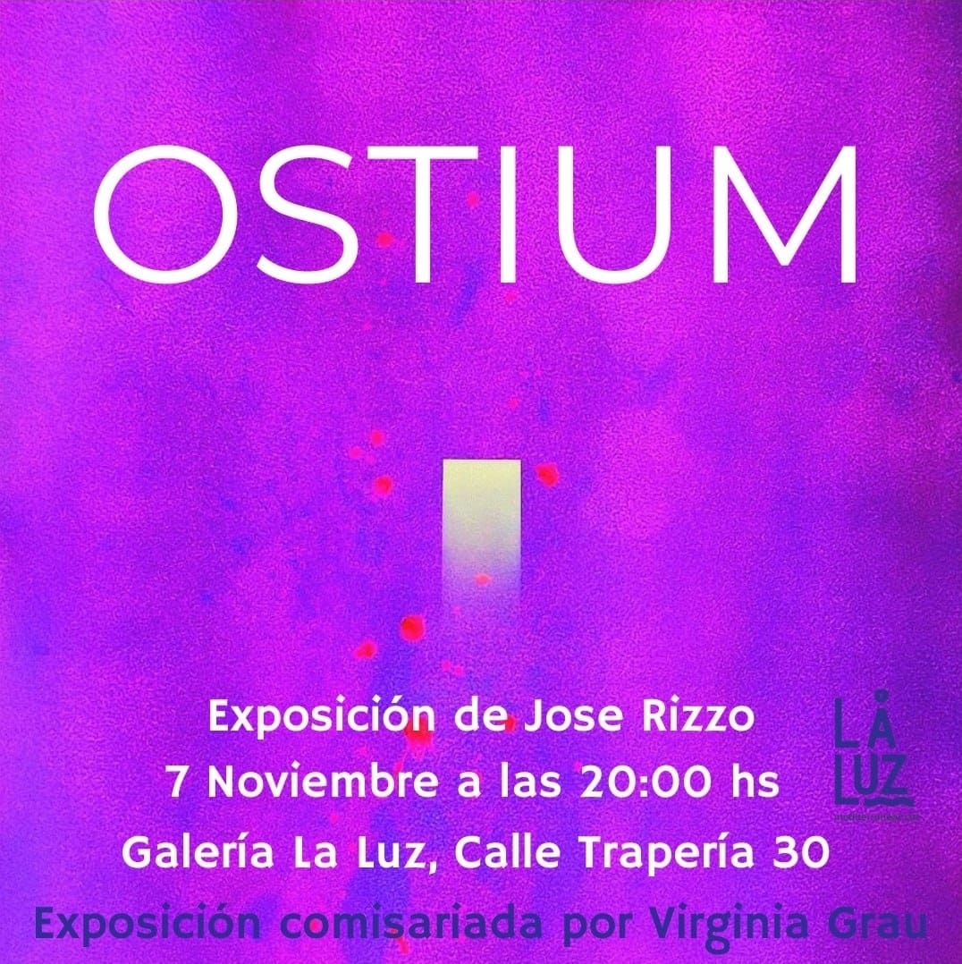 OSTIUM de JOSÉ RIZZO (MURCIA-GALERÍA LUZ DEL MEDITERRÁNEO) Hasta el 14 diciembre